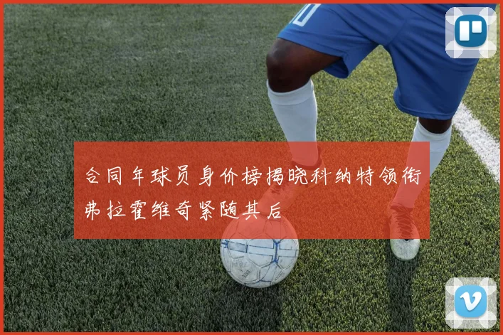 合同年球员身价榜揭晓科纳特领衔弗拉霍维奇紧随其后