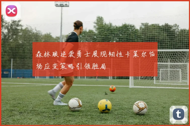 森林狼逆袭勇士展现韧性卡莱尔临场应变策略引领胜局