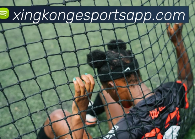 App Interface Preview